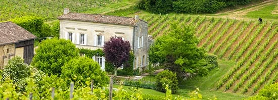 Maison de pierre entourée de rangées de vignes dans le vignoble bordelais