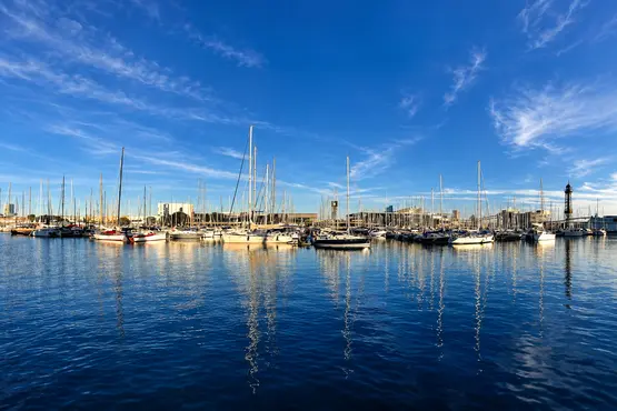 Voiliers amarrés dans un port de plaisance sous un ciel bleu.